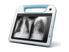 Getac RX10H  全強固式醫療平板電腦